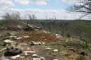 forêt des 3 Pignons, restes d'incendie